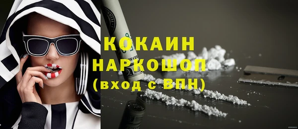 прущие грибы Дмитров
