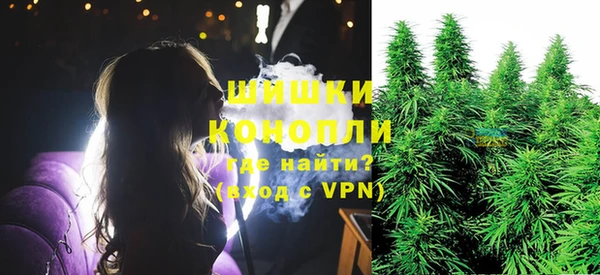 прущие грибы Дмитров