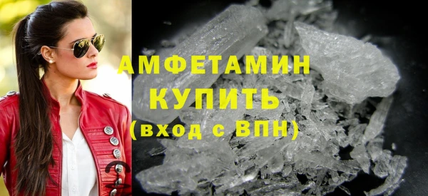 прущие грибы Дмитров