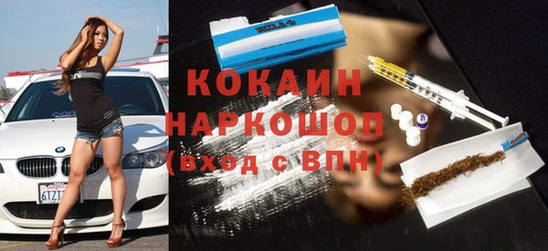 прущие грибы Дмитров