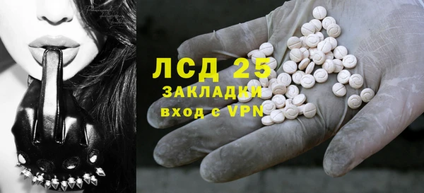 прущие грибы Дмитров