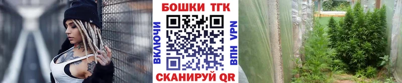 купить наркотик  гидра ссылка  МАРИХУАНА тримм  Орлов 